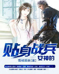 女神的贴身战兵txt