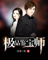 极品鉴宝师全集