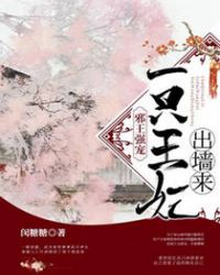 邪王强宠:一只王妃出墙来