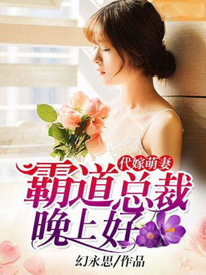 代嫁萌妻:霸道总裁晚上好