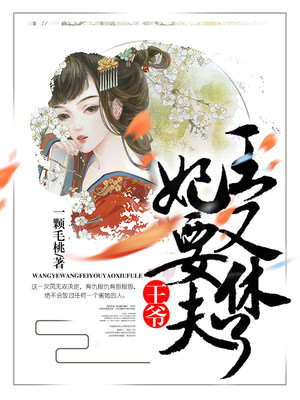 王爷,王妃又要休夫了