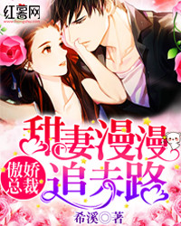 傲娇总裁:甜妻漫漫追夫路