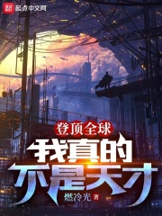 登顶全球:我真的不是天才