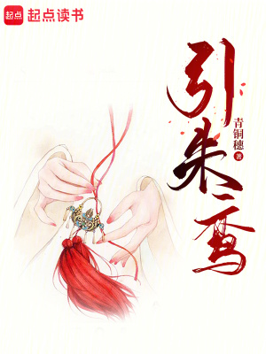 引朱鸾小说全文免费阅读最新章节