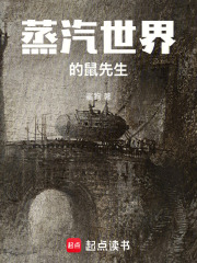 蒸汽世界冒险最强流派