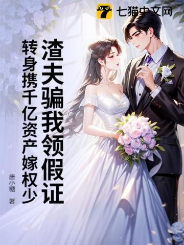 渣夫骗我领假证,转身携千亿资产嫁权少