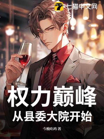 权力巅峰:从县委大院开始